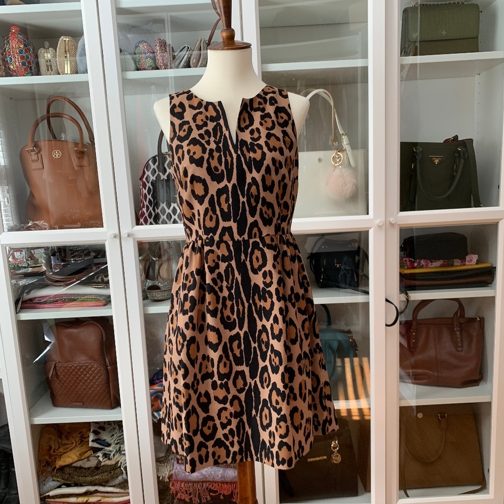 LOFT Leopard Print A Line Dress